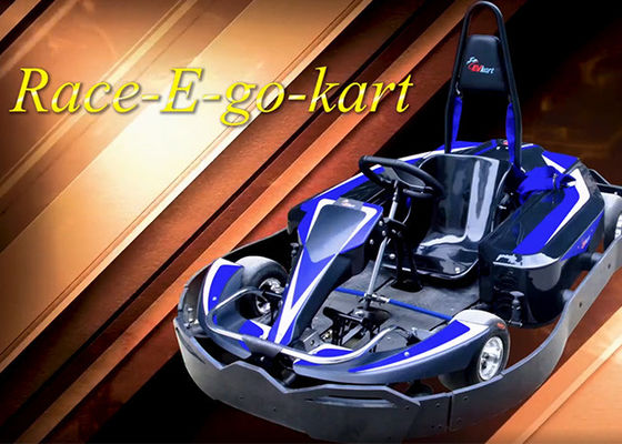 Unterhaltungs-Park Mini Racing Go Karts 4KW Eco freundlich