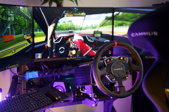 PC Rig Simulator Racing Game Machine-Ochse-Rad mit Pedal